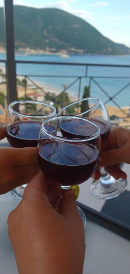 Apartment Steven Vasiliki (Lefkada)