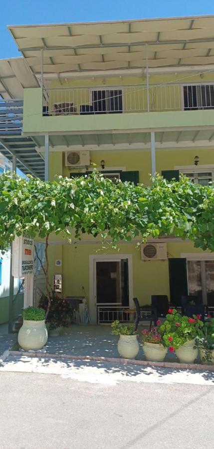 Steven Apartment