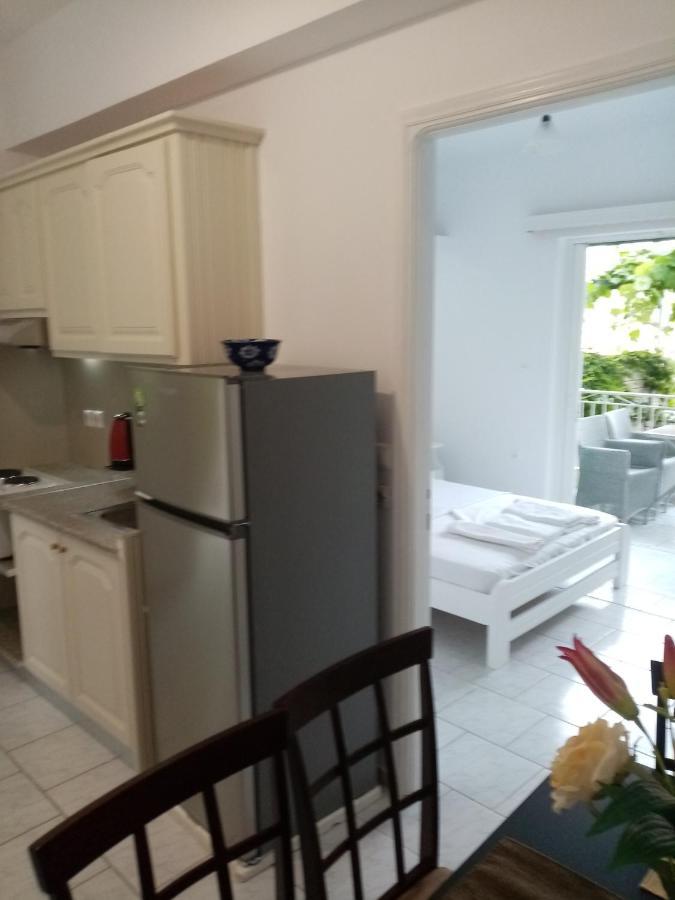 Steven Apartment Vasiliki (Lefkada)